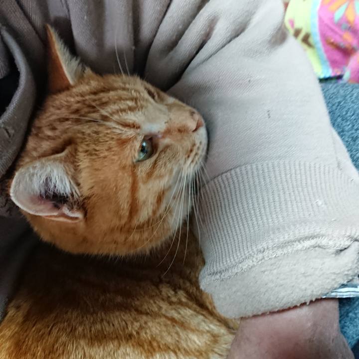 216b78db 05c7 42d7 b723 13df3360381e 1577947866124