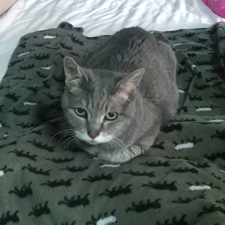 216b798d 7b47 4184 bc36 d7ed8b517faf 1684967621155