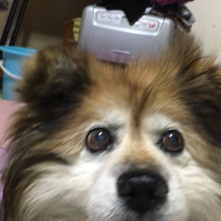 216bae04 ff07 49d5 acc3 642ff452a451 1636606992482