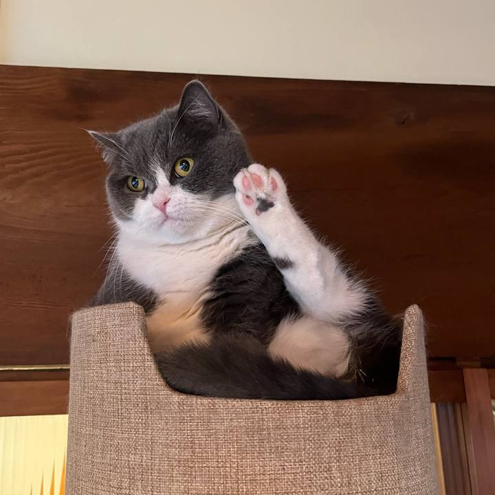 216c1d49 1a2f 4b69 99dc adba8b779290 1645149616037