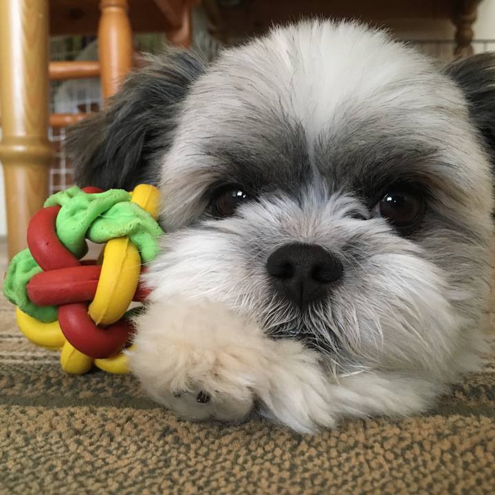 216c3aad 08e6 4f10 bf5b 1b1f1f304bd6 1537157298470