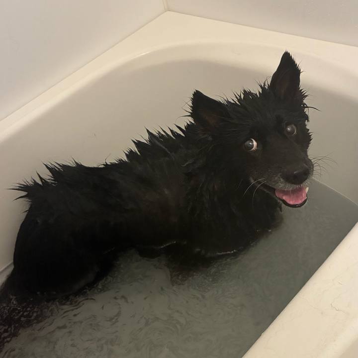 216c3dda e73e 4cda b1c2 6188fb26ea3b 1765616286531