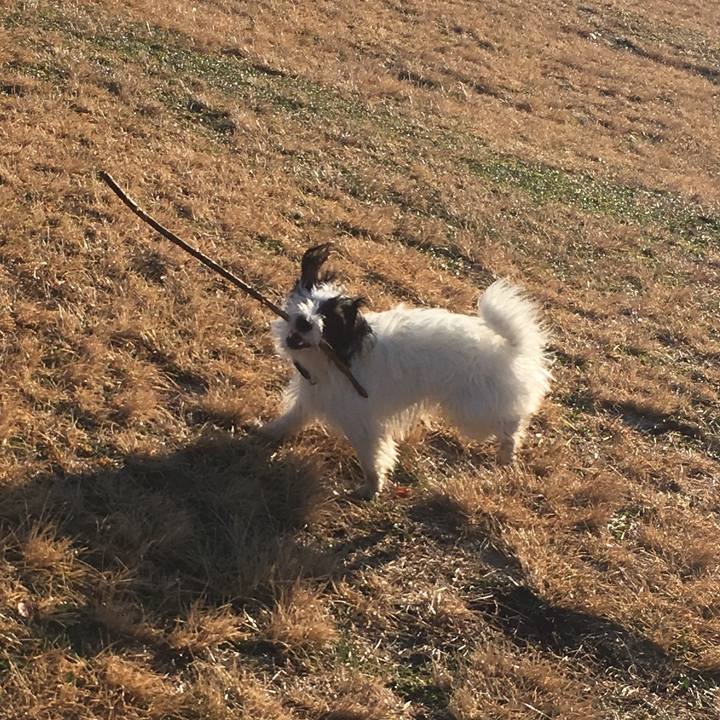 216c63b1 5135 4dc8 b19d 2e7e1c075560 1518130970885