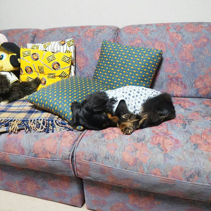 216c63d5 d729 4468 b648 afc136fb7587 1528259545194