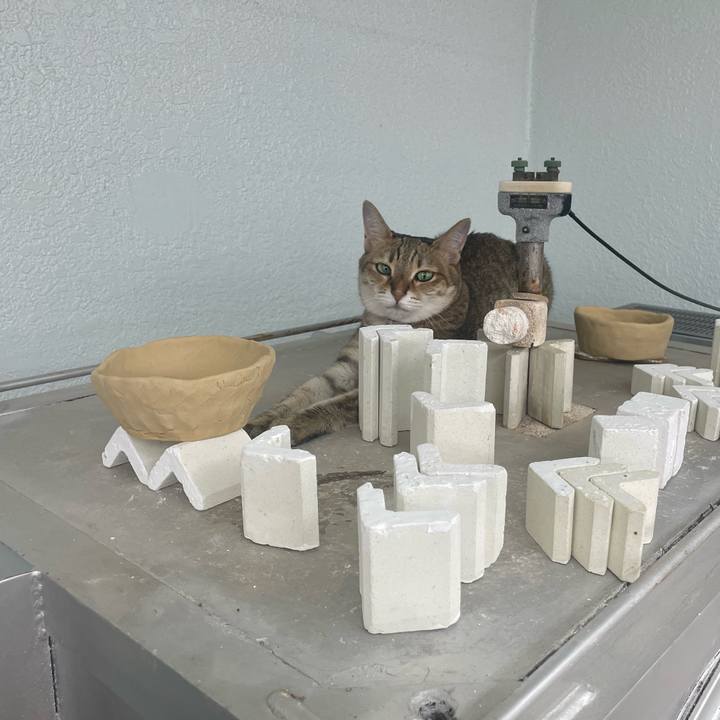 216c8ea2 fd07 49e0 8db1 8687171a706f 1754784482712