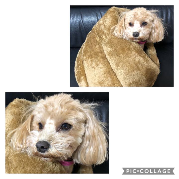 216cb23a 319b 4ff8 86ab c8e25c026204 1607266152602