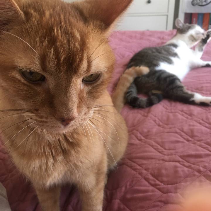 216cf94a 1dc7 48b0 b42d 3ef9f7184dd9 1654129544261