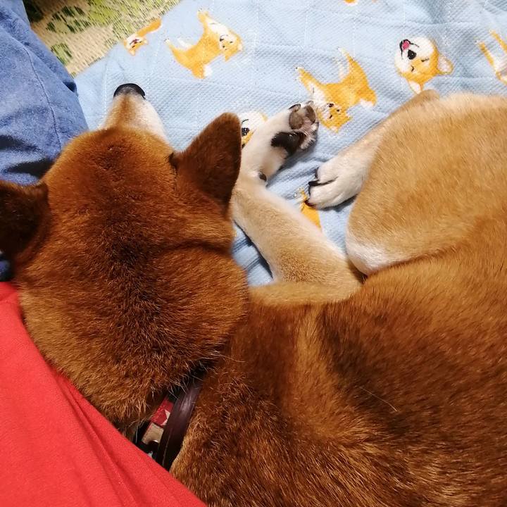 216d0fac aace 43d3 8b0d e1dce30d3bc3 1661764094290