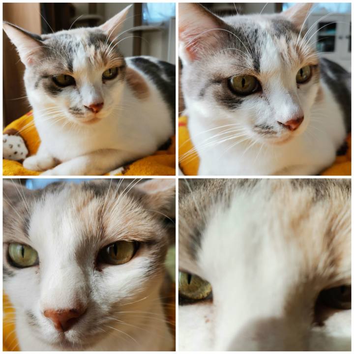 216d50f0 7589 431a a742 39feff3ec8bd 1668743428398