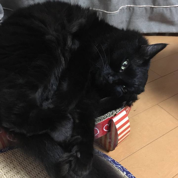 216d77a0 59bf 4044 ab41 87e1df060746 1536764400096