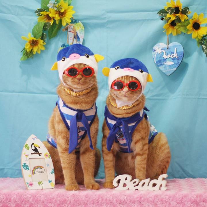 216dc84b 0f13 404a 83f8 d02ae1cbeadf 1693444409909