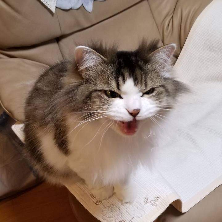 216df93f a95e 4943 954d 1b40333652a0 1548845724234