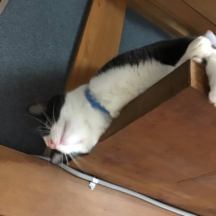 216e2b26 bf68 491a 93e8 b48fbe87cd26 1679223739298