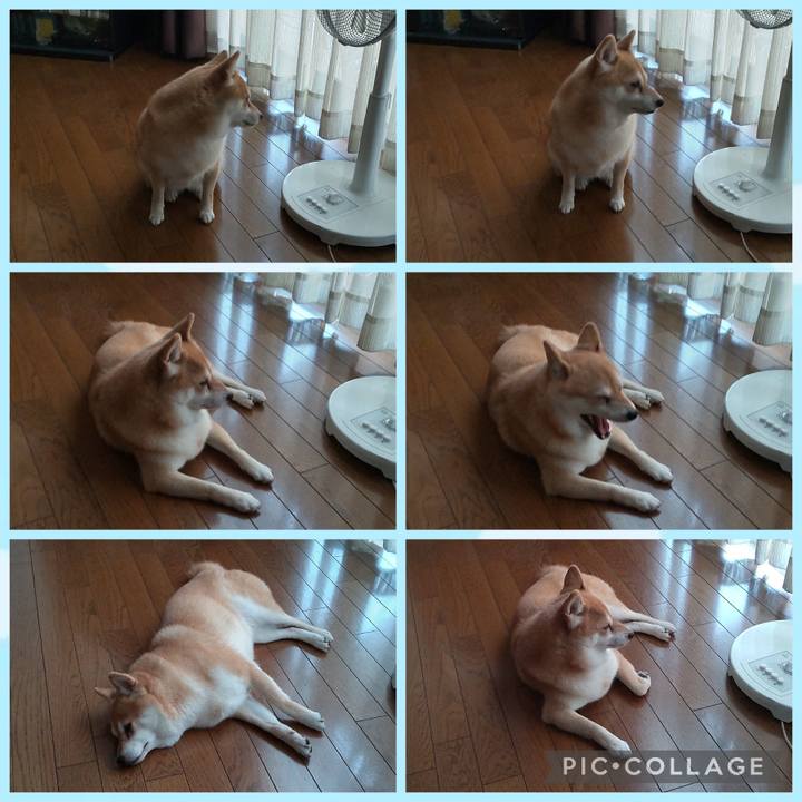 216e8435 155a 4eaf a293 4c8dc9213bef 1756456992065