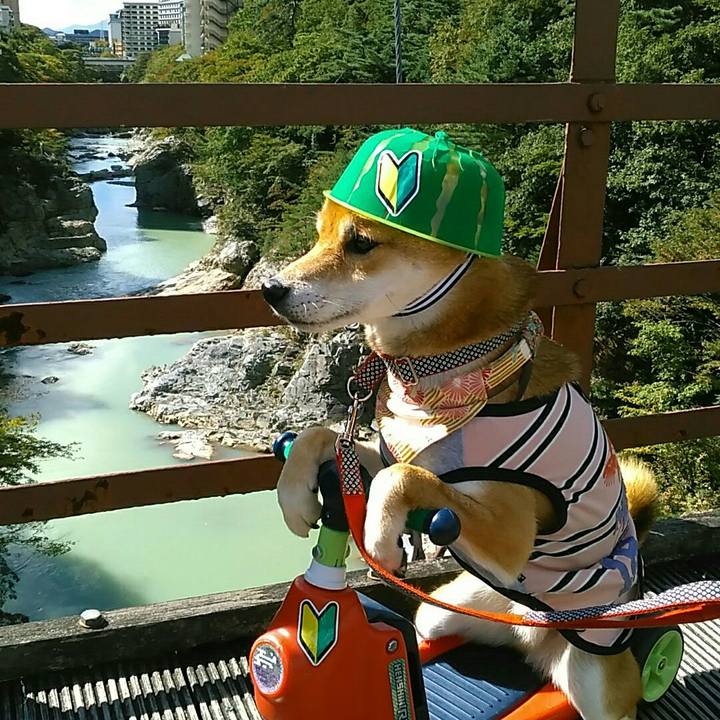 216ead45 ac39 4da5 b174 06f72d452adc 1538897955660