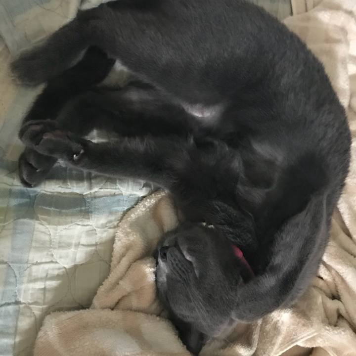 216f0fd2 83ac 457f a98b c2171d01ccc6 1535607345830