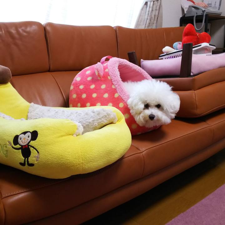 216f23f9 b4a7 417c 82b1 0b3a398eaba8 1529804298934