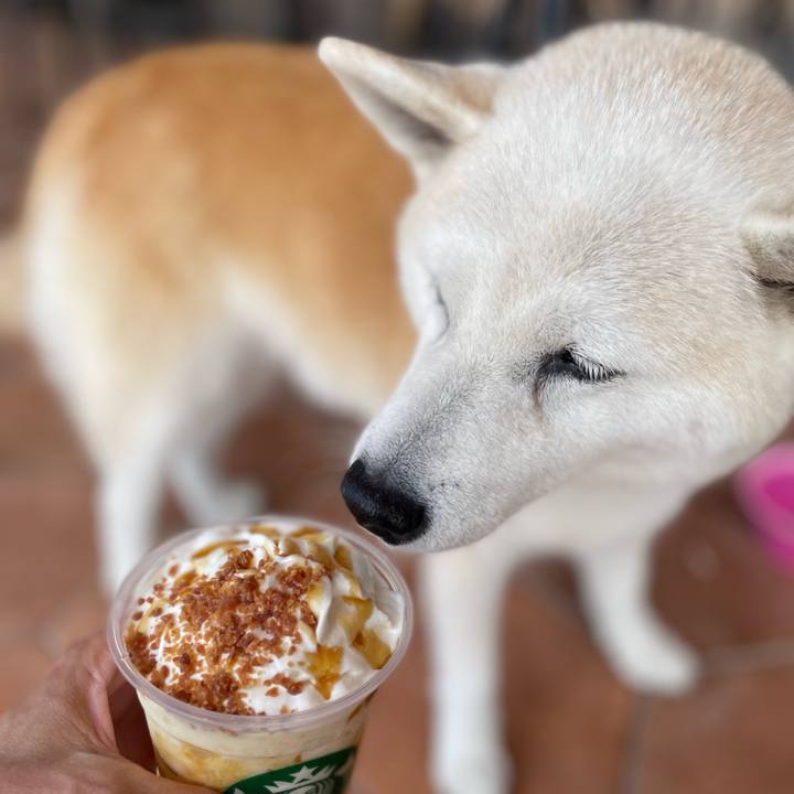 216f245a a7d8 4e3f 8003 a7a23556bf50 1664320780395