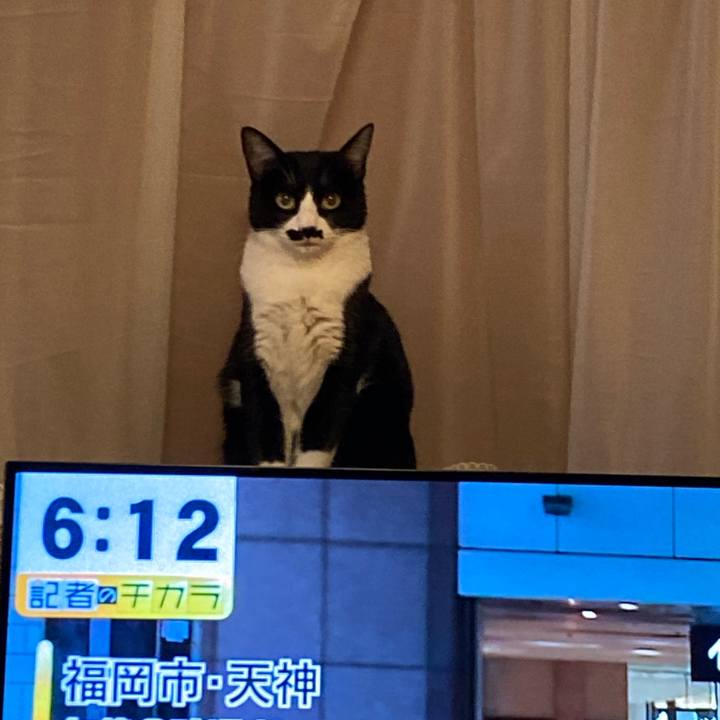 216f2734 959d 4f51 b08e 30b0dc388807 1702994936603