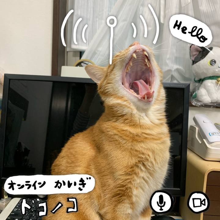 216f2a7c 50cc 46af 8c4b c56ddf5a1dc8 1590698588552