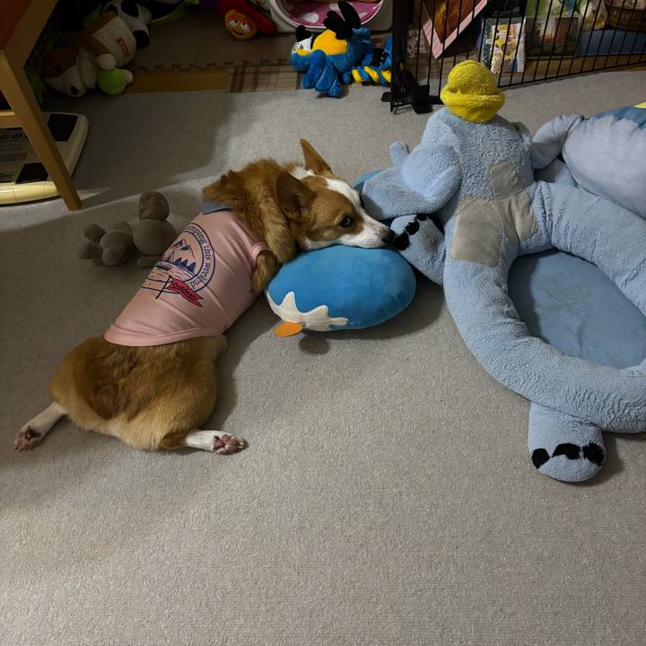 216f3921 7345 4bc6 8a63 bc3eb9b4b2a7 1756994723368