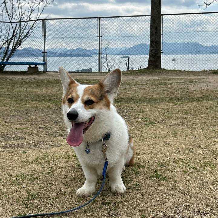 216f4821 ea7d 4e02 bcd4 da2f8502db2b 1772947008513