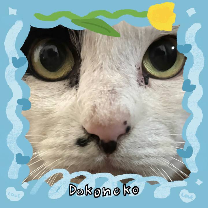 216f82d3 316b 4014 906a 9f9229cffe14 1771845699626