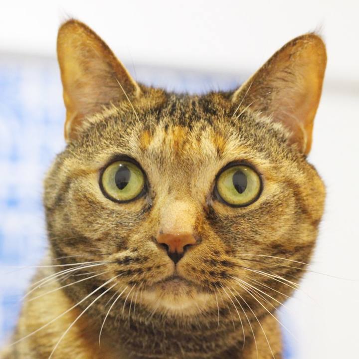 216f9310 7550 4056 9de3 63afb272da92 1591742032060