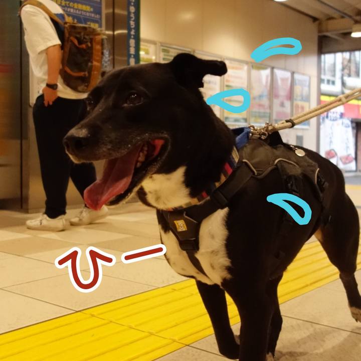 216fab4a 2ec1 4caa 9873 8d0e4c23db20 1658017670074