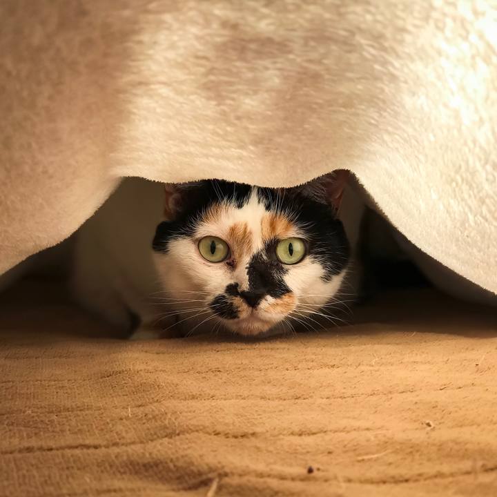 21701d95 1741 4ff6 9852 94d8f8752257 1514191138987