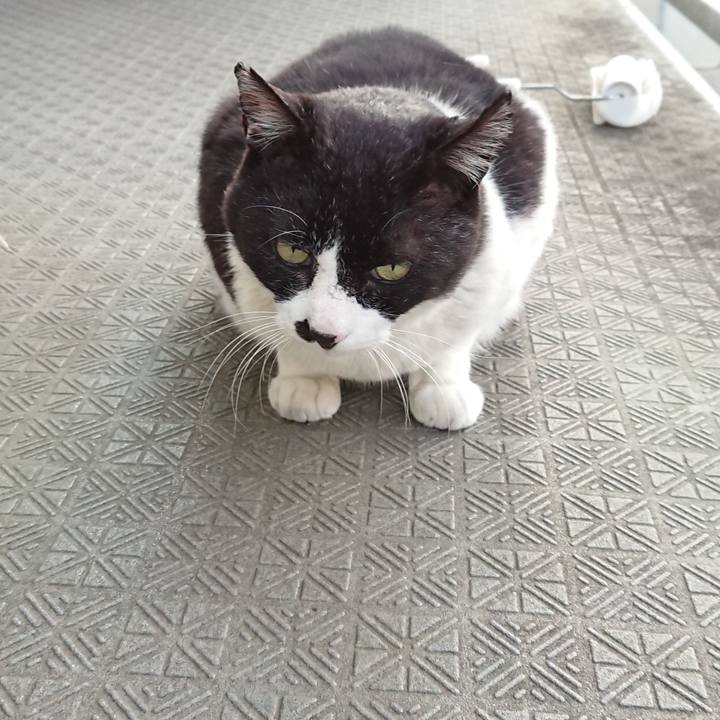 21702049 e151 4404 a180 5714eb5c3358 1588151673534