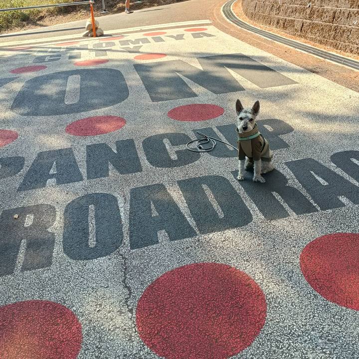 21708f02 9cef 4d51 8ae1 fdd1812967de 1771759802876