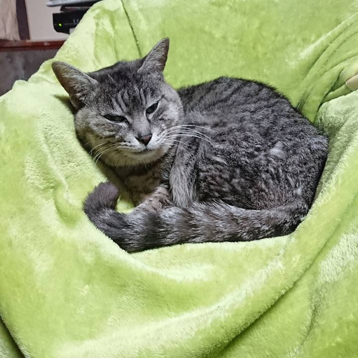 21709456 564c 45a2 aea7 47c14247a73e 1584395940795