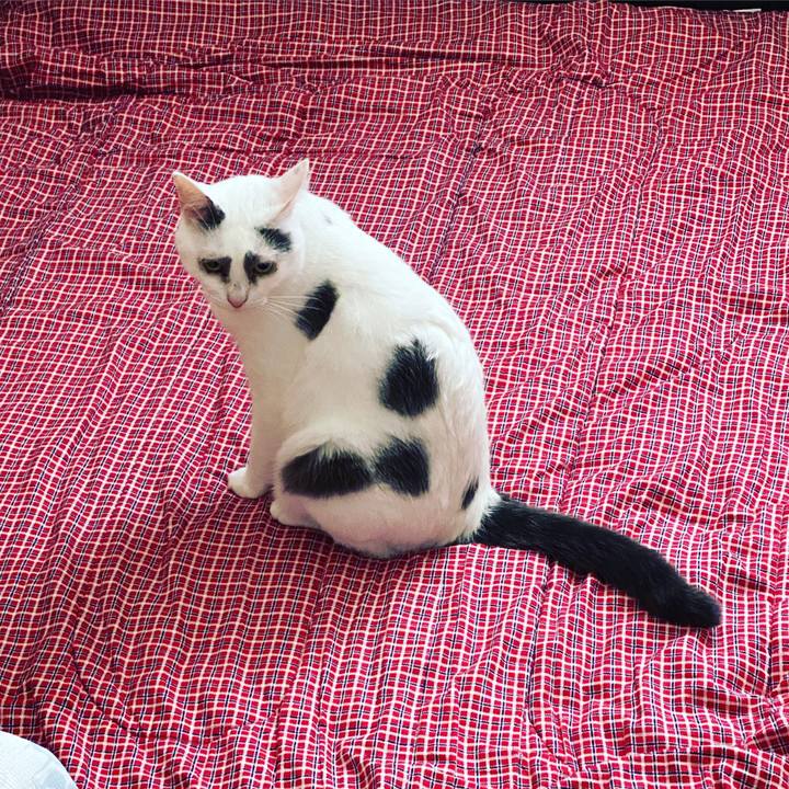 2171082b 4db3 43ab 8e16 ba9e7d79dd76 1627394060595