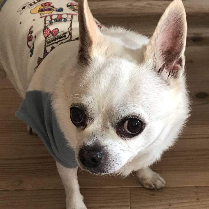 217109e4 4090 4900 a85d c7075a65c0e2 1614576394897