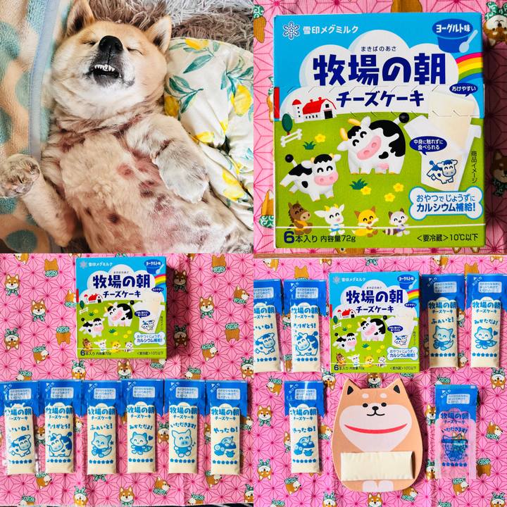 21711405 f768 41a3 9f05 afc5ddd995a9 1745629774439