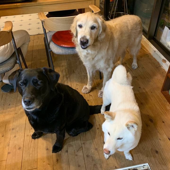 217115c3 f99e 4ba8 b11b 2c9abe9005ae 1550748260601