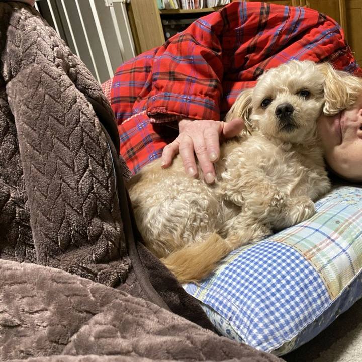 217148b6 d3cd 4702 adeb 710c01981895 1613313665901