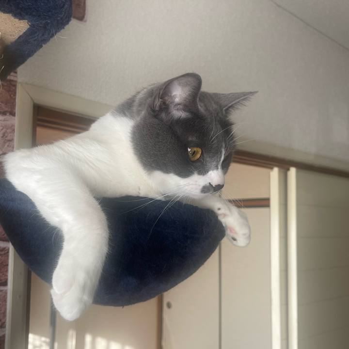 21714bef 77ef 491e 80d9 c6201dcfc55b 1670548032716