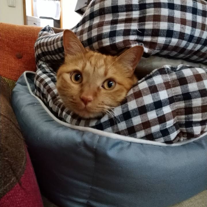 2171a631 64fe 488e 8fb6 05c30d6749eb 1622725047789