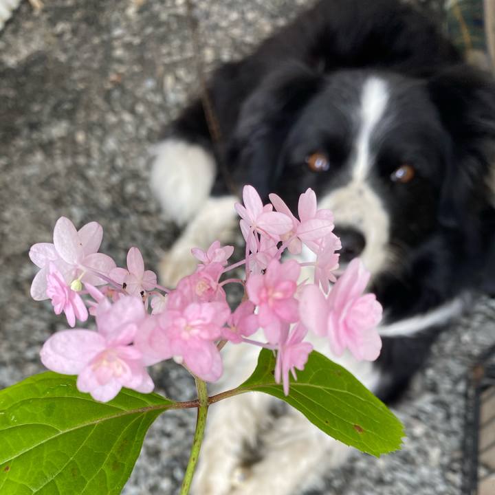 2171aaa8 ee0c 407c 8403 87de1981da01 1620872374662