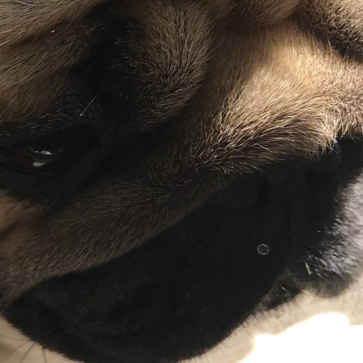 2171e8b2 e390 435a b695 d1a4f23ea166 1587306005176