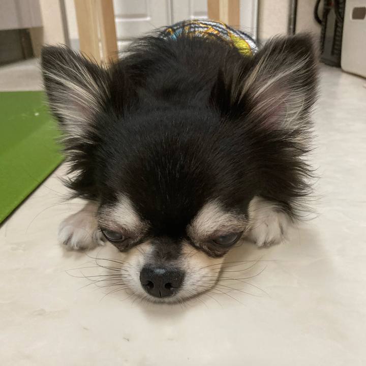 21722d5f aa8c 43d6 906d 7e468bd2341a 1654349358470