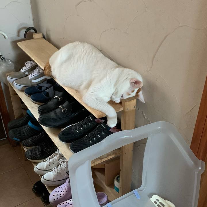 21726036 c747 4531 81f4 8ab0b0687bb2 1598654578300