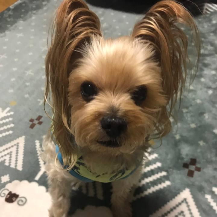 217272d4 d5c6 4ac3 9133 988fdbc5b815 1575190578941