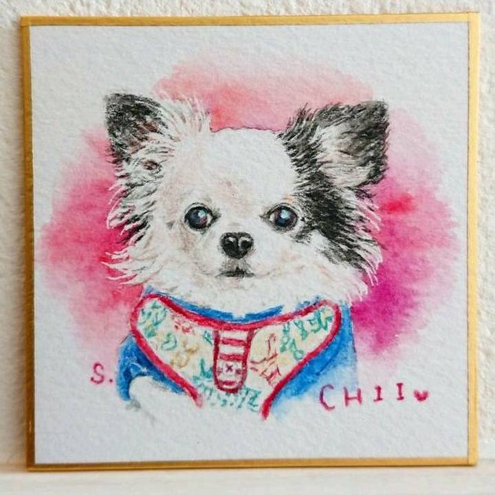 2172a6bd 9b92 40cf bd74 33248837eef3 1586428000050