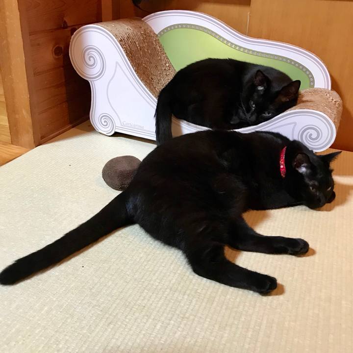 2172eb53 f701 4bac 8f0b 8034fd77568e 1535279249676