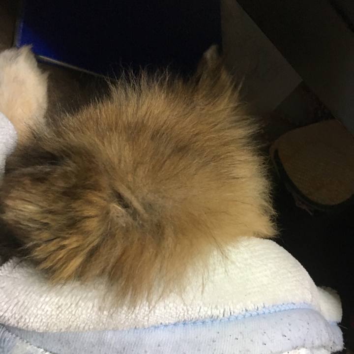 21730143 4422 4309 a707 3ff54d22e121 1608097719486