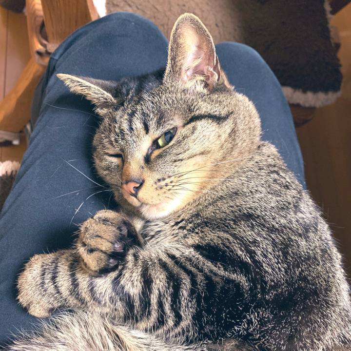 217303cd 38ae 4101 88be 76985103b635 1552219364932