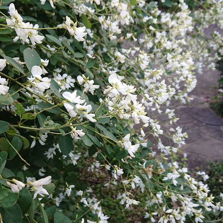 217309b9 39c0 4d05 b074 1274c01951cb 1601505802600